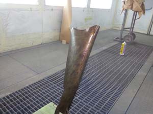 Shotgun Hydrographics